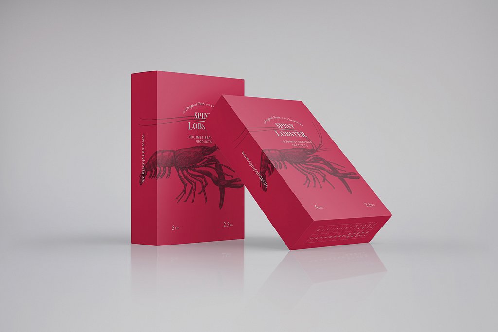 Spiny Lobster